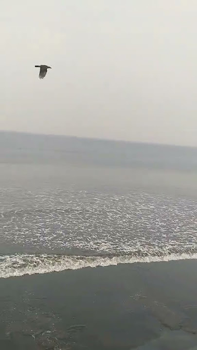 https://vt.tiktok.com/ZSYLj1u4B