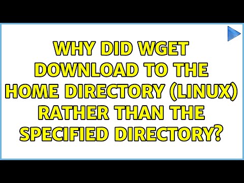 Why did wget download to the home directory (Linux) rather than the specified directory?