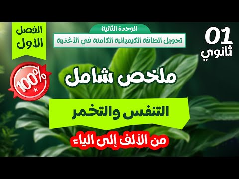 وأخيرا أقوى ملخص شامل التنفس والتخمر مراجعة لاختبار الفصل الاول أولى ثانوي