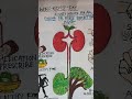 world 🌎 kidney 🫁day drawing #shorts🎉