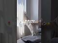 🍞猫と暮らす女の🌷休日モーニングルーティン☀️