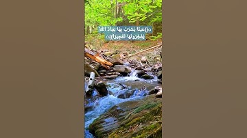 تلاوة خاشعة عامر الكاظمي سورة الإنسان بطور #عراقي