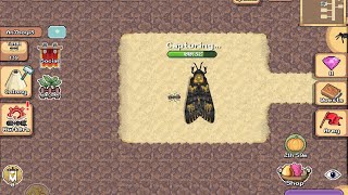 Getting deaths head hawk moth and going bug hunting in Pocket Ants