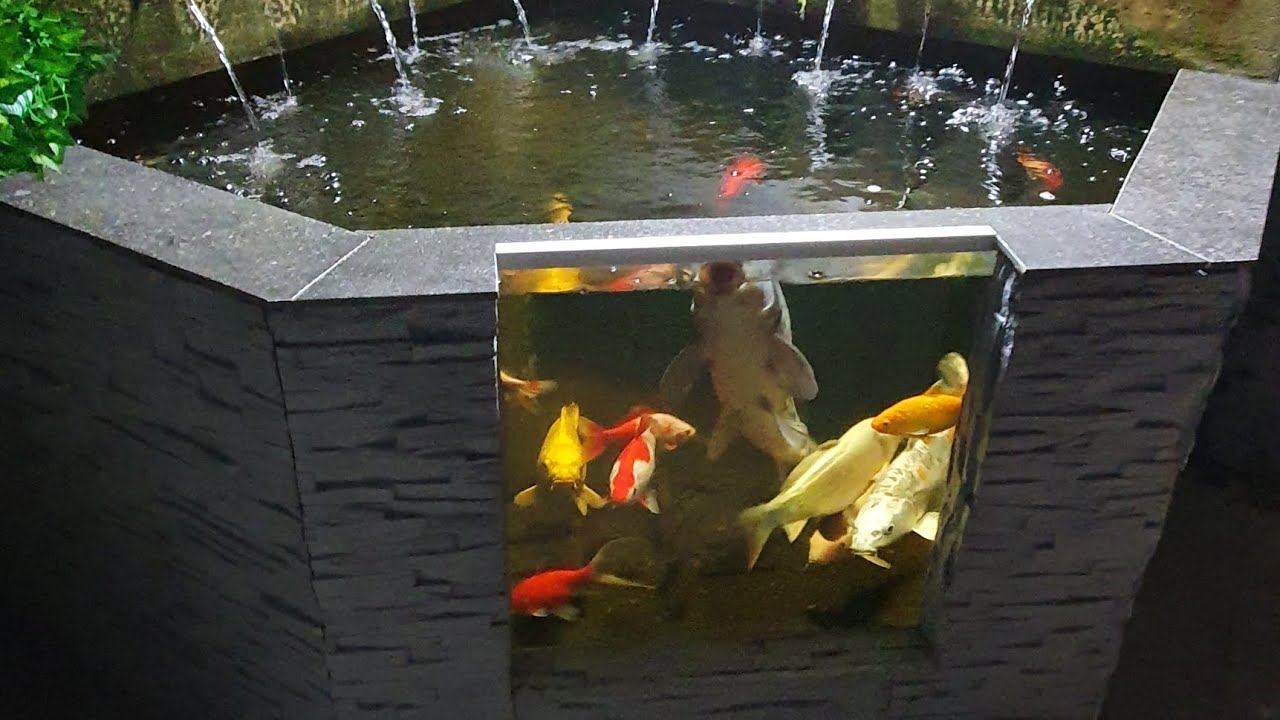 brick aquarium YouTube