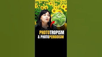 What is the difference between Phototropism and Photoperiodism, children? #riturattewal #neet2024...
