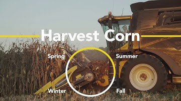 Conservation Crop Rotation