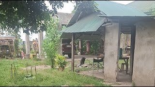 makulimlim na araw sa aming nayon #live #streaming #buhayprobinsya #buhaybukid