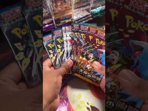 Restocking Pokémon Cards ASMR (Small Pokémon Card Business)