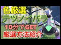【ポケモンSV】10分で出現！色違いのテツノイバラ！厳選場所とサンドイッチの作り方紹介【色違いポケモン】