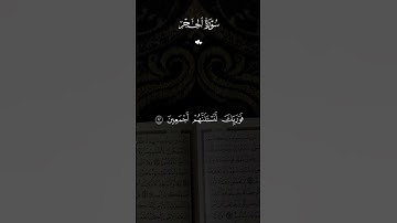 #سورة الحجر #اسلام_صبحي #لايك #اكسبلور #قرآن #راحة_نفسية
