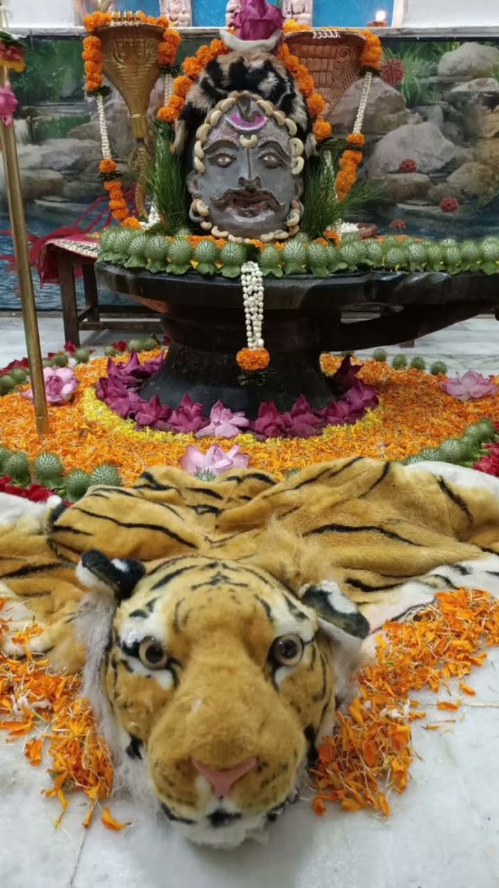 har har mahadev - ShareChat