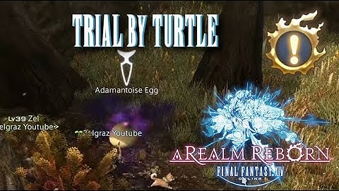Trial By Turtle - Final Fantasy XIV - A Realm Reborn