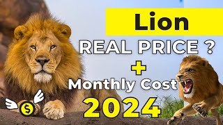 Lion Price in India 2024 | Lion Price and Monthly Expenses by Vaibhav Dog's World 3,616 views 3 months ago 3 minutes, 48 seconds