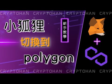 如何包切換到馬蹄鏈 Polygon 鏈| 區塊鏈錢包 | Metamask Tutorial小狐狸錢包基本教學 | 幣圈新手教學 | 幣圈Polygon生態