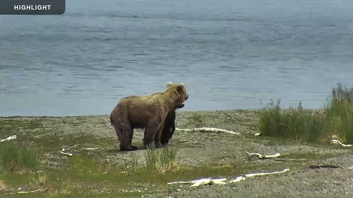 Lower River - Katmai National Park 2022 Season Hig...