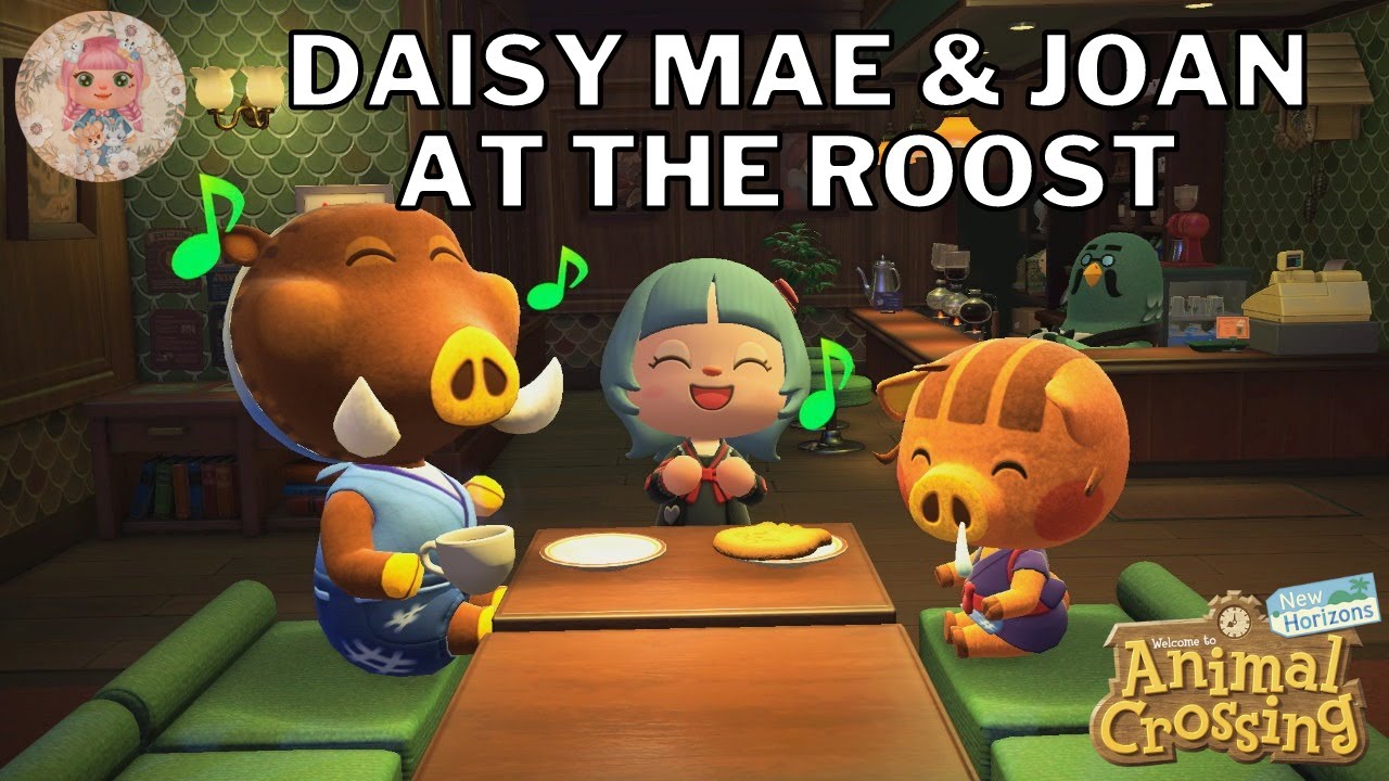 Special VIPs 🐷 DAISY MAE & 🐗 JOAN visiting The Roost 🐦☕ in Animal