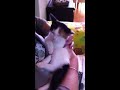 IMG 0115
