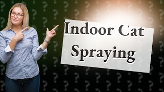 Do indoor male cats spray if not neutered?