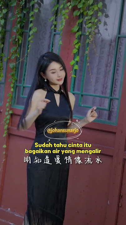 Mei Jiu Jia Ka Fei 美酒加咖啡 (Bir/Arak Ditambah Kopi) #mandarinsong