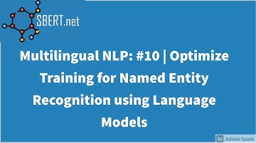 Multilingual NLP: #10 | Optimize Training for Named Entity Recognition using Language Models