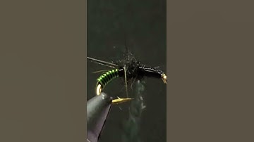 Caddis Emerger