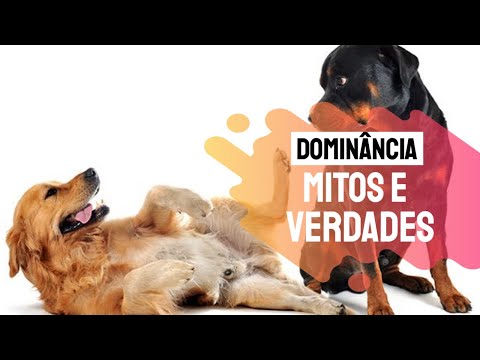 Vídeo: Um Veterinário Explica Por Que A Dominância Não Funciona No Adestramento De Cães