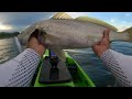 Mulloway on hardbody lure. Third target species on this lure ! Kayak fishing.