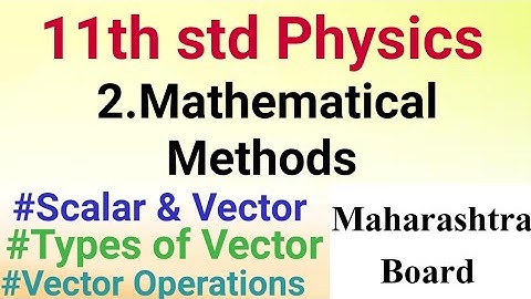 11th std Physics Mathematical Methods Scalar and Vector Types of Vector Vector Operations Part 1