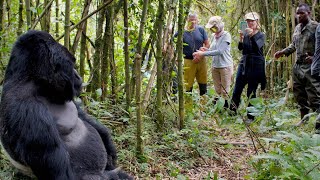 Gorilla trekking ( Bwindi Impenetrable Forest National Park - Uganda)