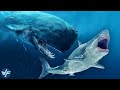 Livyatan - The Legendary Creature That Hunted Megalodons