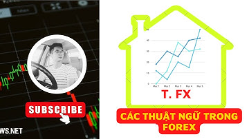 [PHẦN 03 ] CÁC THUẬT NGỮ TRONG FX(Bài 1) Pip - Lot là gì, Đòn bẩy là gì - Đầu tư Forex cho người mới