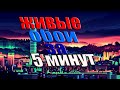 КАК УСТАНОВИТЬ ЖИВЫЕ ОБОИ ЗА 5 МИНУТ НА КОМПЬЮТЕР БЕЗ (Wallpaper engine) #живыеобои #обоинапк #ОБОИ