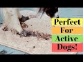Teach Your Dog To Wipe His Paws- Teach Your Dog To Wipe His Paws-