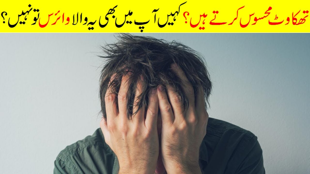Feeling Tired You Should Check If This Virus Attacked On You Or Not