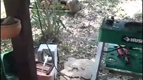 Devilsown 4gph water methanol injection nozzle spray