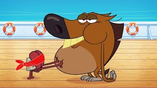 Zig And Sharko Eaten At Last Season 3 New Episodes Cartoon Collection For Kids