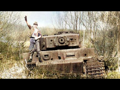 Заброшенные танки Тигр в дремучем русском лесу под Ленинградом  Уникальные кадры
