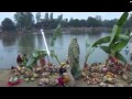 Chhat pooja for nepal lakhauri