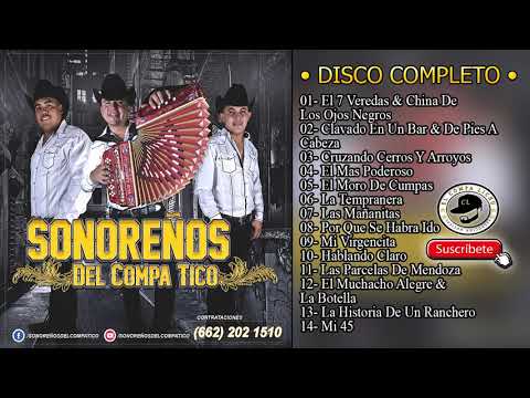 ElCompaLichu