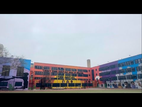 Brooklyn Community Arts and Media High School (BCAM) Mural Project