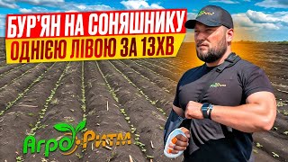 ❗️ЗАРОСТАЄ СОНЯШНИК?ВСЕ ПРО ЗАХИСТ СОНЯШНИКУ ВІД БУРʼЯНУ ЗА 13ХВ