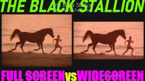 The Black Stallion (1979) Open Matte Full Screen vs Widescreen Aspect Ratio Comparison