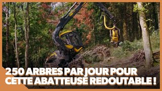 Cet Incroyable Engin Peut Abattre Et Ébrancher Un Arbre En 15 Sec