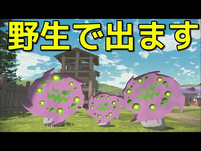 ポケモン アルセウス ミカルゲを何度も野生で捕まえる方法 Pokemon Legends アルセウス Youtube