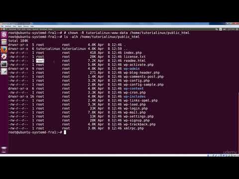 Ownership and Permissions on WordPress Files