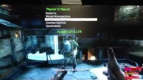 Call Of Duty5 WaW: Physics and Flex V2 Mod Menu