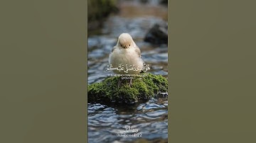 يَاأَيُّهَا الَّذِينَ آمَنُوا اذْكُرُوا اللَّهَ ذِكْرًا كَثِيرًا | سورة الأحزاب | ماهر المعيقلي