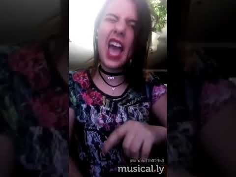 مهرجان الشرع محلل اربعه