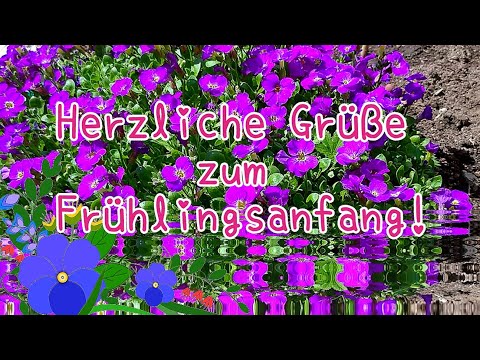 Herzliche Grüße zum Frühlingsanfang🌷💖 Ich wünsche Dir einen schönen Frühlingstag🌞🍀🌺 Frühlingsgrüße💕