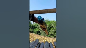 cara mengusir hama monyet